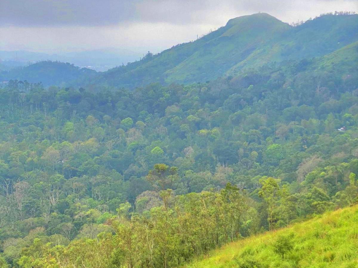 The Windy Mist Resort Munnar Chinnakanal Екстер'єр фото